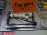 engrish-funny-if-i-plant-it-does-it-grow-into-a-chicken.jpg