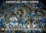 funny-pictures-cat-does-camouflage-rather-well.jpg