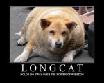 longcat-demotivator.jpeg