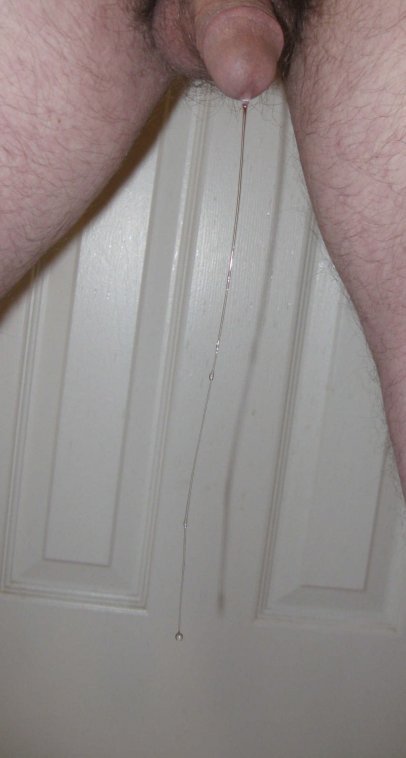 804_IMG_3297-very long-thick-wow-rotated left-cropped.JPG
