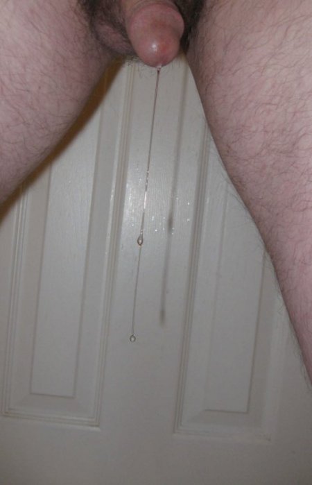 784-IMG_1069-double-long-regular-thick-wow-rotated-crpd.JPG