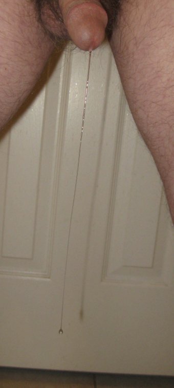 703-IMG_1866-very long-plus x2-thick-rotated-crpd.JPG