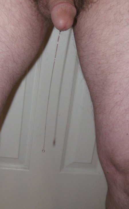 683-IMG_5316-long-plus-thick-wow-rotated-crpd.JPG
