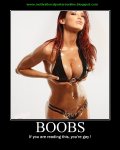 boobs tits ta tas breasts huge big nice babes girls bikinis hot funny motivational posters web s.jpg