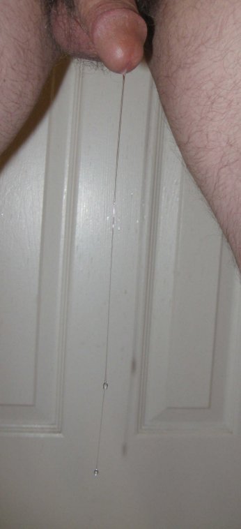 664-IMG_4277-double-very long-plus-rotated-crpd.JPG