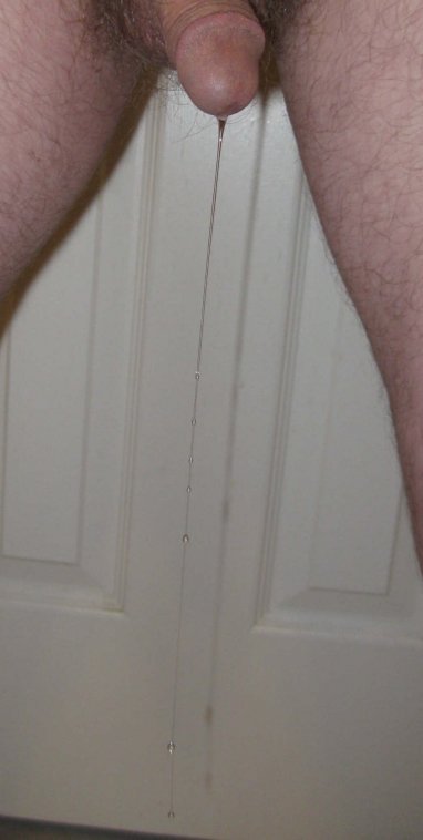 665-IMG_6471-seven-very long-plus x3-rotated-crpd.JPG