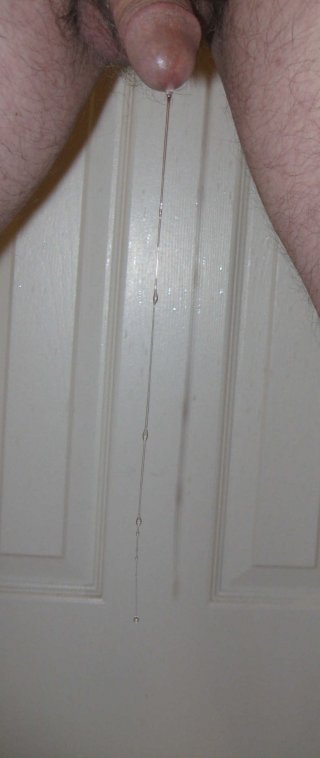646-5-IMG_1983-four-very long-wow-BEST-rotated-crpd.JPG