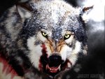 Bloddy_Wolf_Part_2_by_TheAlterEgoOf.jpg