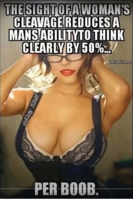 SM-99-boobs men can not think-crpd.JPG