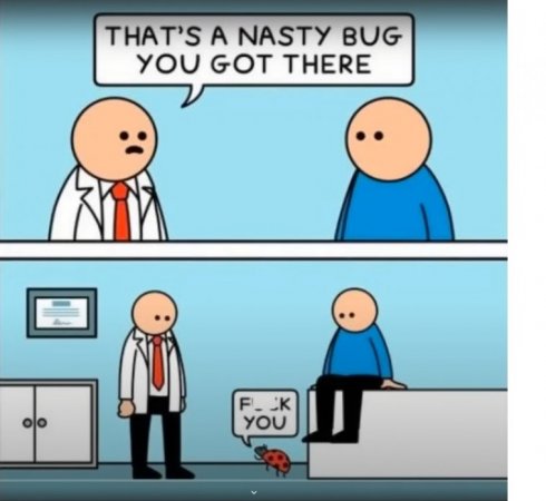 SM-64-nasty bug.jpg
