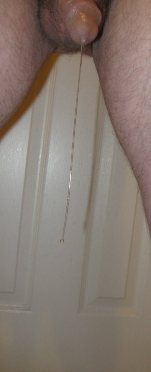 624-IMG_2934-long-regular-OMFG-bright-BEST-rotated-crpd.JPG