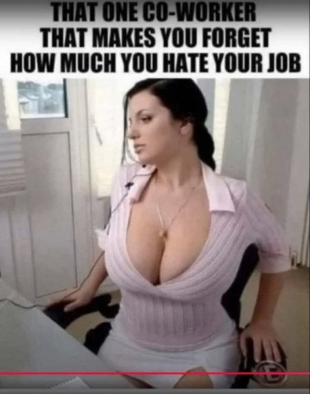 SM-40i-coworker like job-cleavage-crpd-USED.JPG