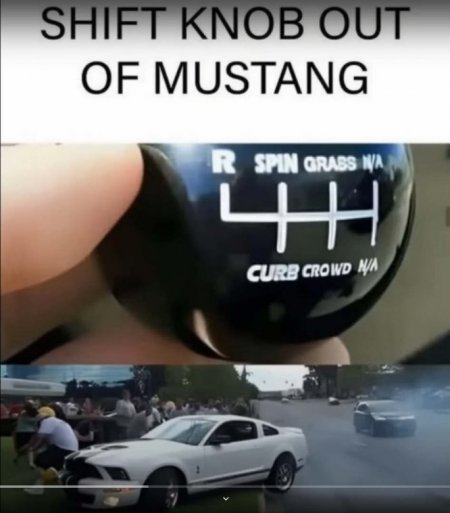 SM-82-Mustang shift knob-funny-CRPD-USED.JPG