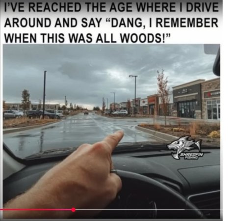 SM-44n-this used to be all woods-getting old.jpg