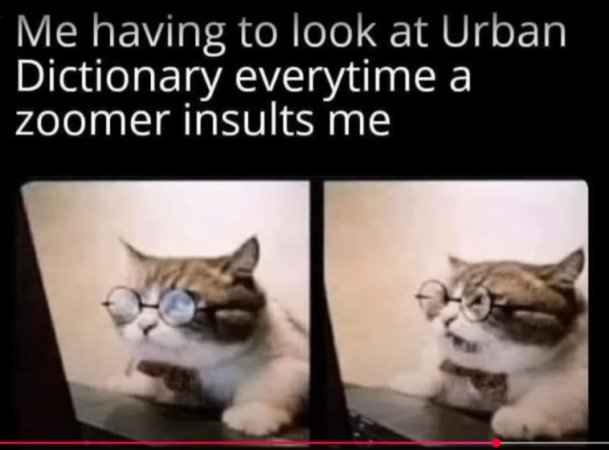 SM-46h-using Urban Dictionary-USED.jpg