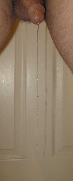 605-IMG_5254-8X-very long-VG-rotated-351-CRPD.JPG