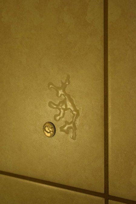 606-DSC_0041-fifth collage-best-mailman w bad posture-rotated-50Pcnt.JPG