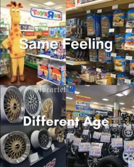 SM-50k-Toys R Us vs auto parts store-PENDING-CRPD-USED.JPG