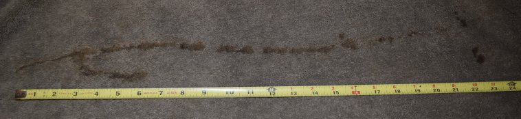 da1-DSC_0025-22 +3.5 inch load-CRPD-67Pcnt.JPG