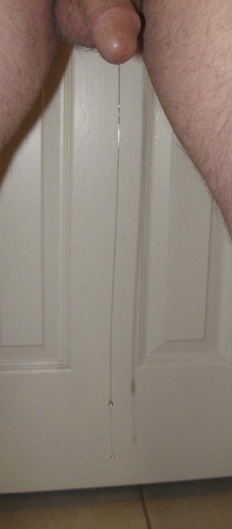 584-IMG_7143-double-very long plus x3-BEST-rotated-CRPD.JPG