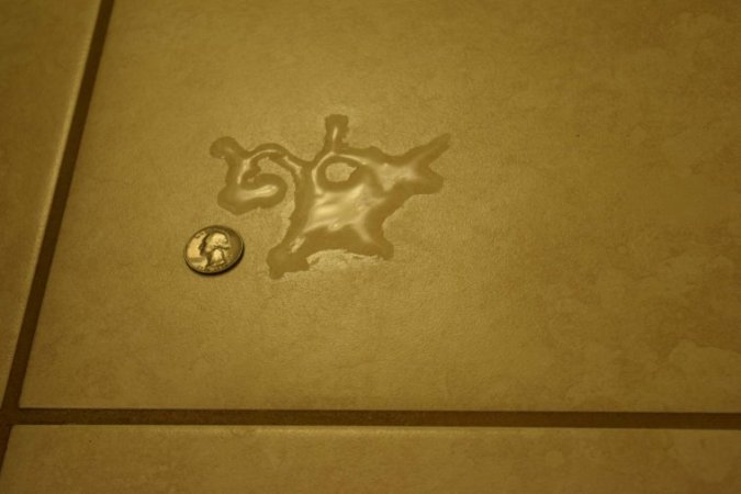 6-DSC_0099-eighth collage-best-someone riding unicorn-about to dildo its ass-40Pcnt.JPG