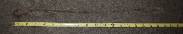 db1-DSC_0043-20+2 inch load-best-CRPD-75Pcnt.JPG