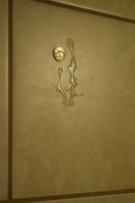 6-DSC_0024-5th collage-longer-Japanese calligraphy-rotated-60Pcnt.JPG