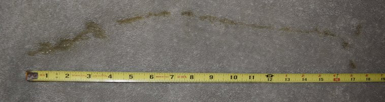 dc1-DSC_0011-17 inch load-best-CRPD-60Pcnt.JPG