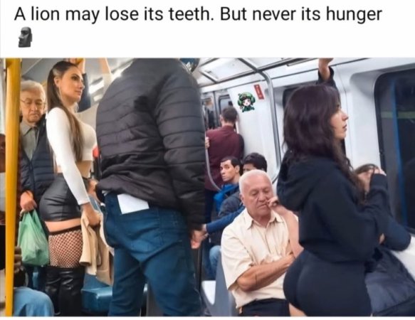 SM-58o-lions never lose their hunger-fishnets-TOP-PENDING-USED.jpg