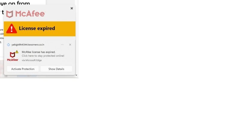 Norton-3b-mouse-trap-Indian website-ya6q.jpg