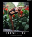 Flexibility347.jpg