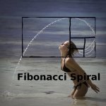 174359d1308071802-funny-strange-random-pics-0fibonacci-spiral.jpg