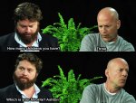 galifianakis-multipane-add-1.jpg