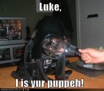 funny-dog-pictures-darth-vader-pug.jpg