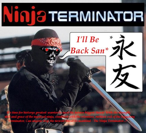 ninja terminator.jpg