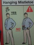 Hanging_Mistletoe.jpg