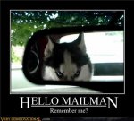 demotivational-posters-hello-mailman.jpg