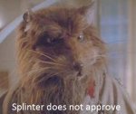 splinter.jpg