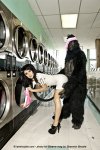 Laundry2BiZARRE.jpg