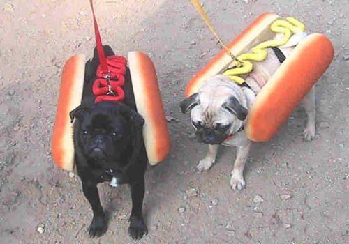 HotDogs.jpg