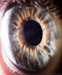 magnifiedeye.jpg