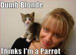 its_funny_when_blondes_fail_640_041.jpg