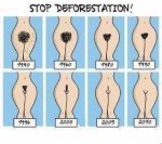 Stop-Deforestation.jpg