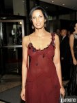 4631_padma-lakshmi-nipples-see-through-spl99763_038-435x580.jpg