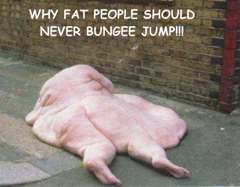 fatbungee.jpg