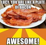 bacon.jpg