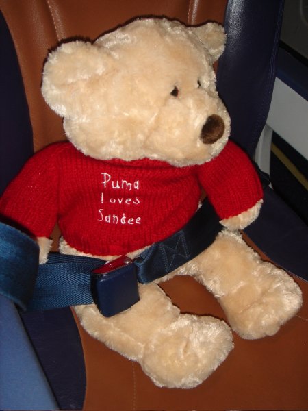 Teddybear.jpg