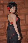 Saree (6).jpg