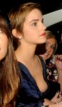 emma+watson+(6)+-+Copy.jpg