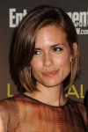 Torrey-at-Entertainment-Weekly-s-Pre-Emmy-Party-2012-torrey-devitto-32297228-2000-3000.jpg